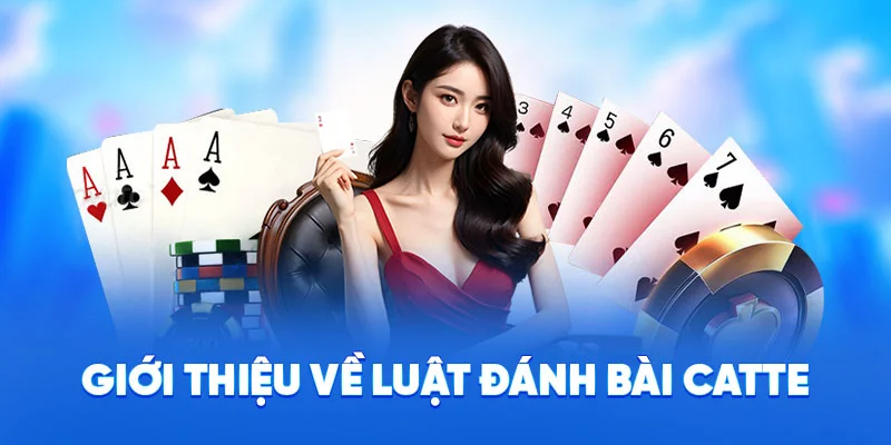 Luật Đánh Bài Catte 78WIN - Trò Chơi Kịch Tính Số 1 2025 1 Giới thiệu về luật đánh bài catte